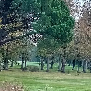 T2 Face Au Golf Appartement